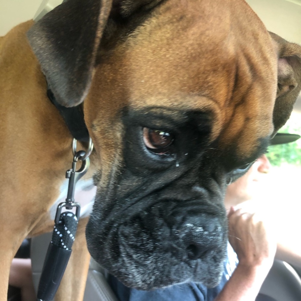 Meet your Posher, Shellee
